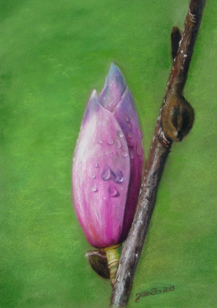 magnolia web